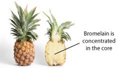 Pineapple_core-bromelain