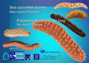 New Ireland Beche-de-mer Survey