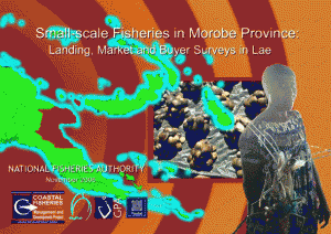 Morobe Landings, Buyer and Market Survey