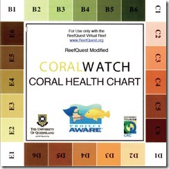 ModCoralWatchChart